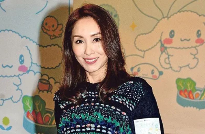 Cô bắt đầu được chú ý sau khi tham gia cuộc thi Hoa hậu Hồng Kông 1993