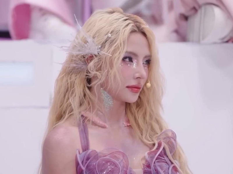 Tiểu sử Maiquinn