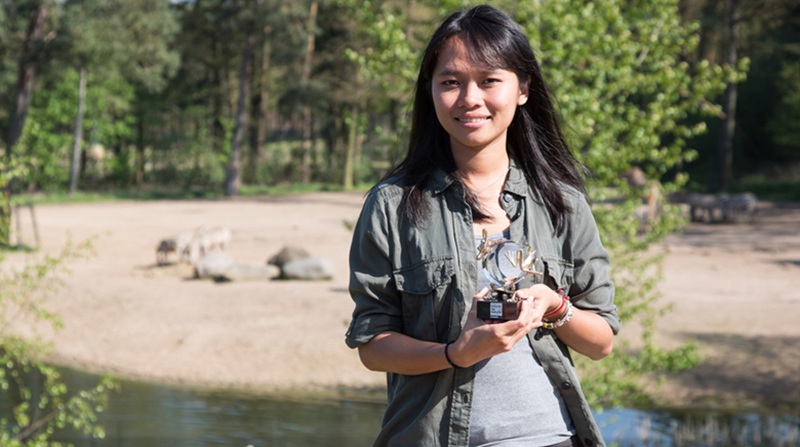 Trang Rừng là ai?