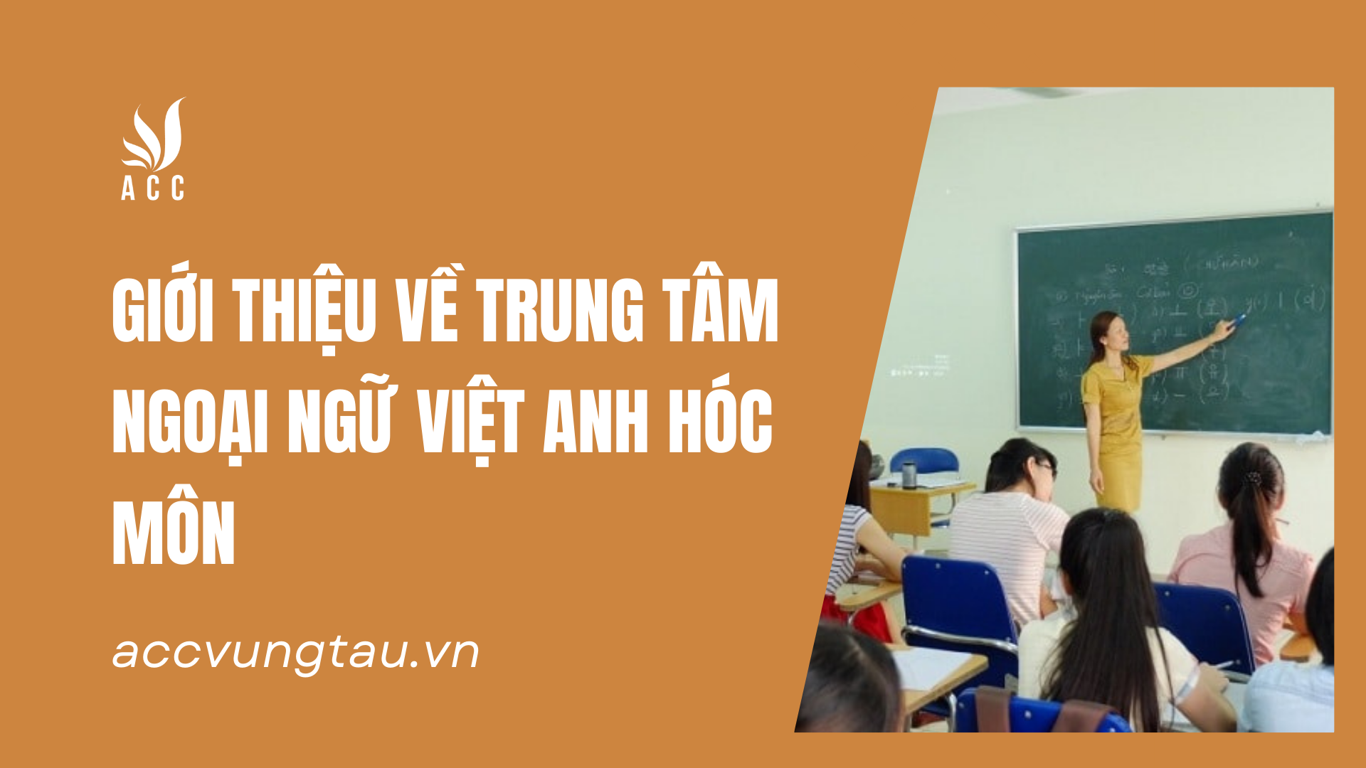gioi-thieu-tong-quan-ve-anh-tam