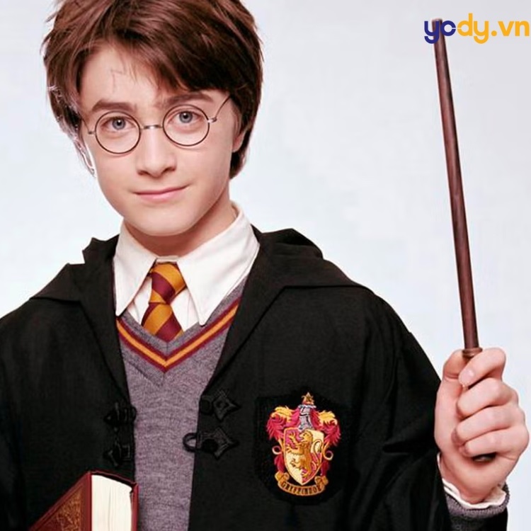 gioi-thieu-tong-quan-ve-cac-nhan-vat-trong-harry-potter
