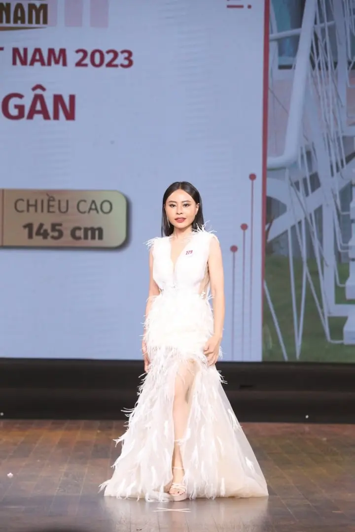 Lê Trang khác