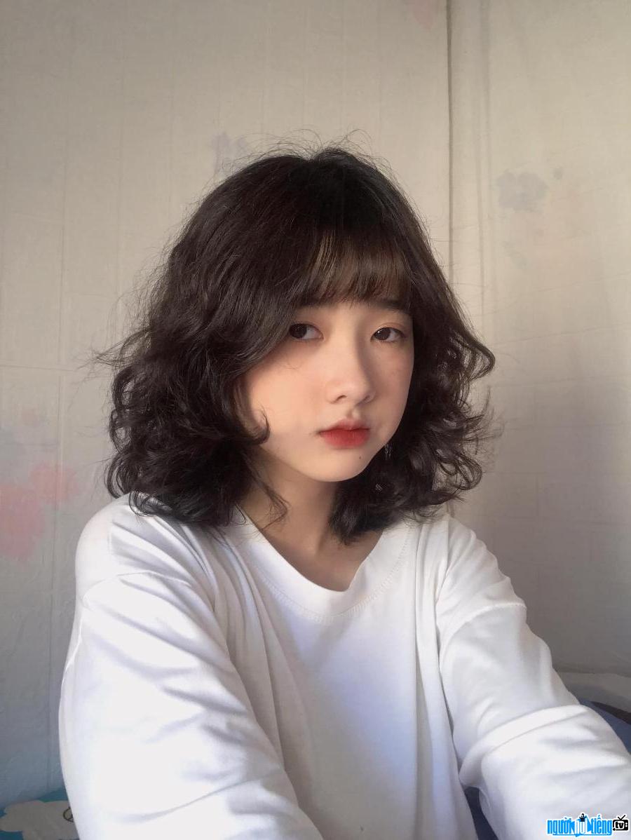 nguyen-dieu-linh-chi-tiet