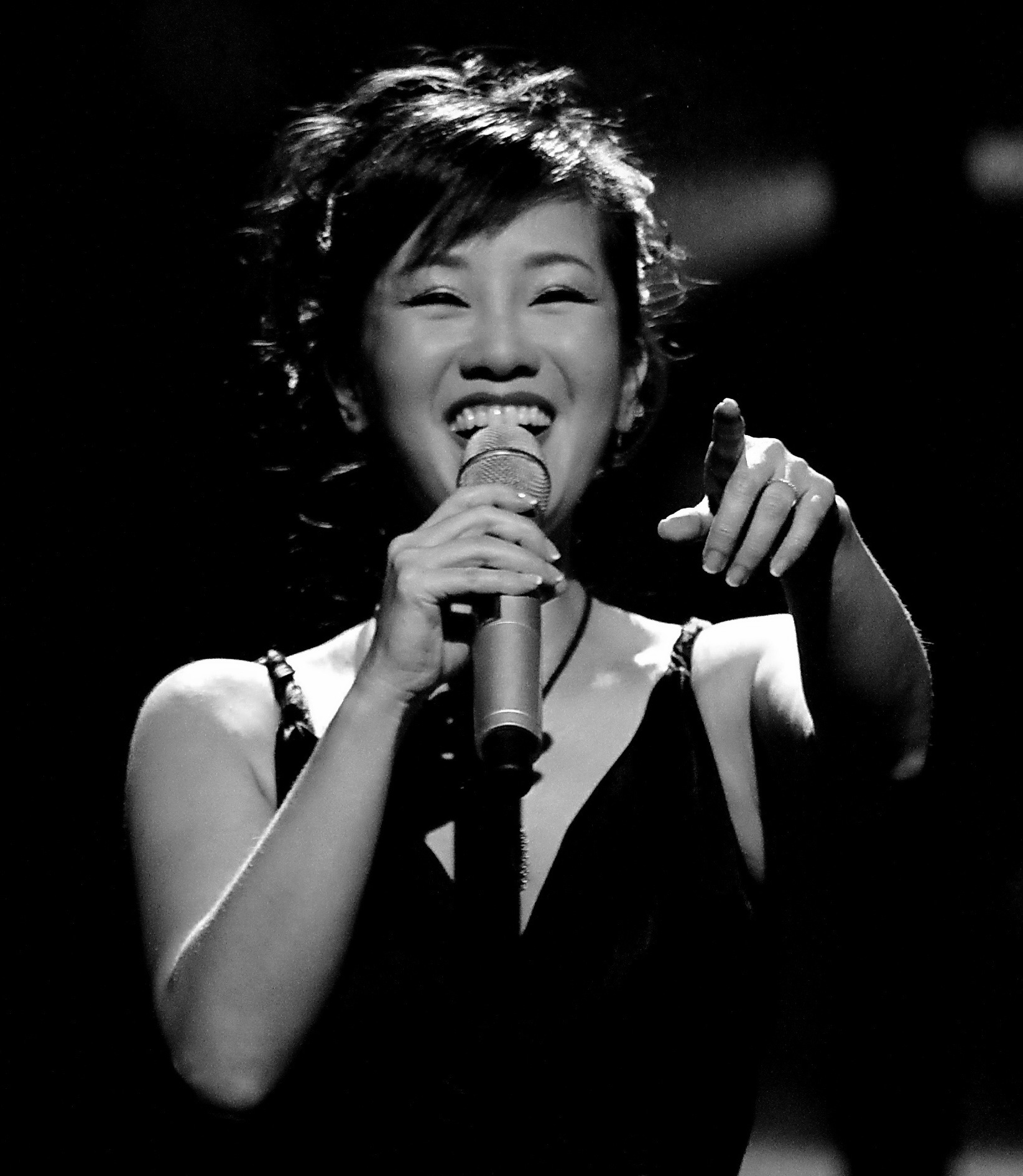 tieu-su-ca-si-hong-nhung
