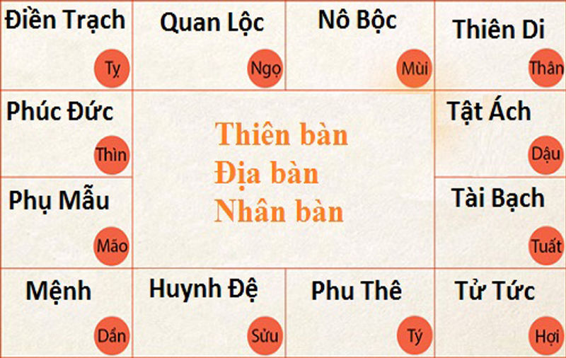 tu-vi-tong-quan
